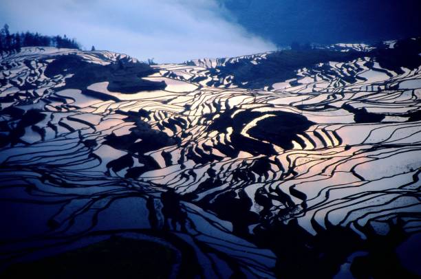 istock Mountain terraces at sunrise in Yuanyang 1423268323