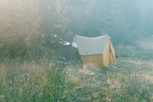 Yellow tent early in the morning in the rays of the sun in summer on a meadow near the forest.