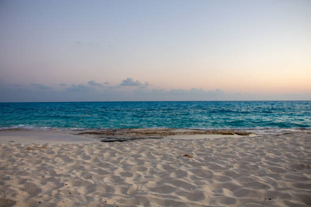 rocky beach at sunrise