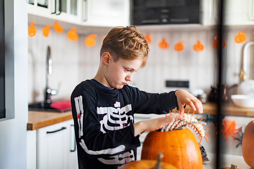 Schoolboy carving pumpkins for Halloween party