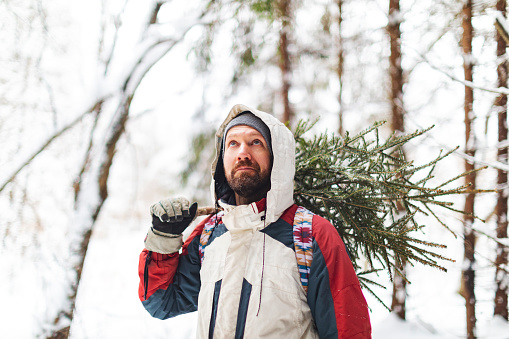 Young adult man taking Christmas tree from forest
