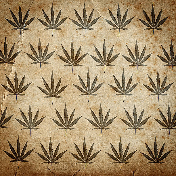 istock Grungy paper background with cannabis leaves 142327483