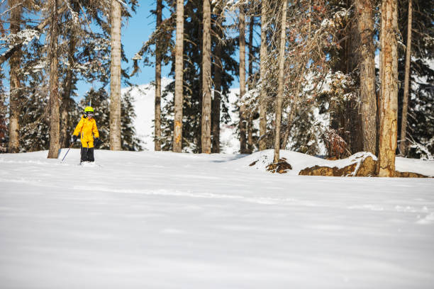 istock School age boy skiing in mountains 1423275927