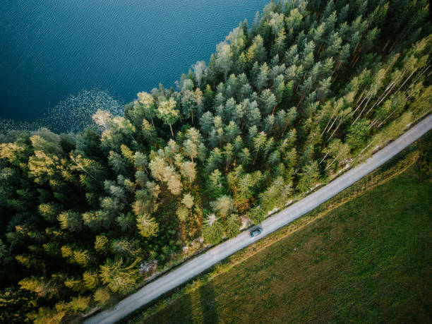 Series of drone shots made at Nuuksio National Park in Finland.