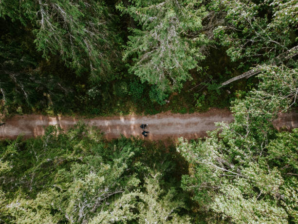 istock Hiking in beautiful nordic nature 1423276682