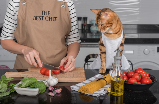The cat and its owner in aprons cook food together in the home kitchen. The cat watches as the woman cuts the tomatoes.