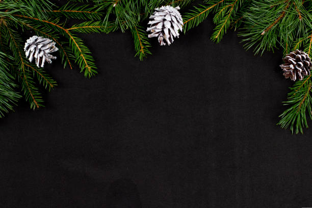 istock Harmonious simple Christmas card with a place to insert a congratulation. Stylish black background with fir branches and cones. Merry christmas concept 1423277499