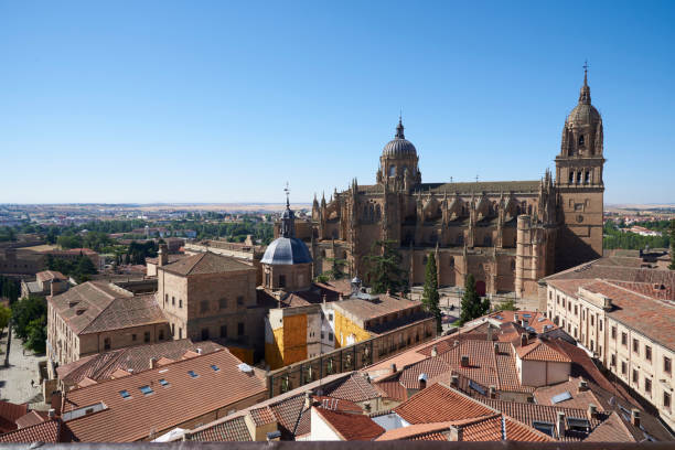 istock Cathedral of Salamanca 1423280416