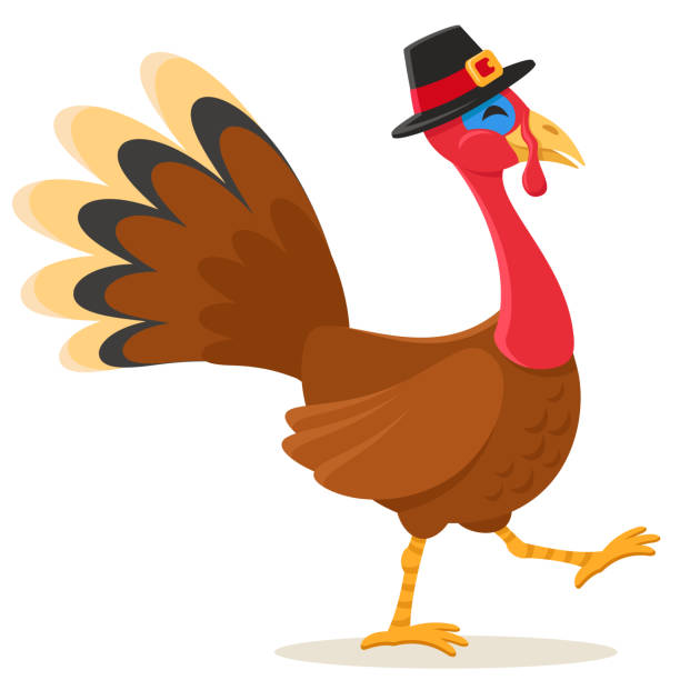 illustrations, cliparts, dessins animés et icônes de l’oiseau de dinde dans un chapeau va sur un fond blanc. jour de thanksgiving - dinde