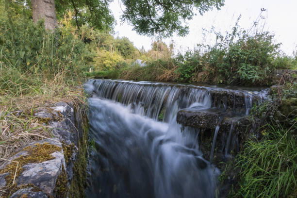 istock a small waterfall from a mountain river flows through the forest, close-up. A beautiful landscape of wild nature 1423285058