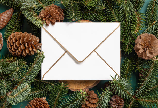 istock Christmas  blank envelope between fir branches and pine cones on green top view 1423288556