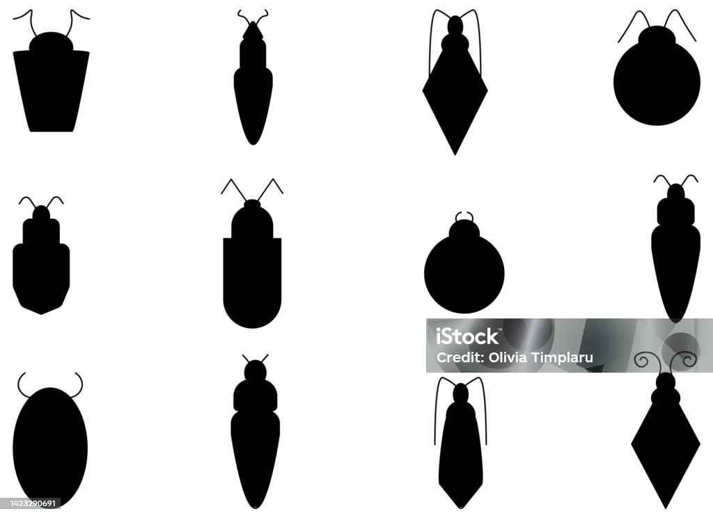 Outling Insects Flat Insect Bug Vector Illustration Set Set Of Black Outline Bugs ...