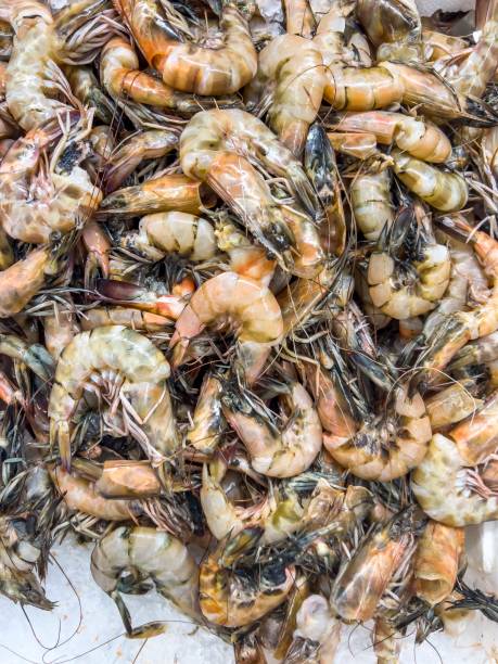 Bumper vannamei shrimp production sale of venamei shrimp in fish market
