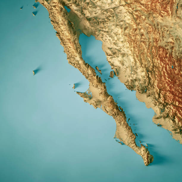 istock Baja California Topographic Map 3D Render Color 1423296303