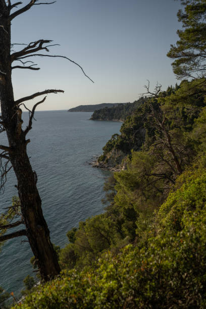 istock Beauty of nature 1423297233