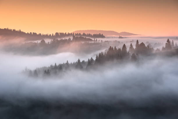 istock View of alpine valley covered with fog 1423303751