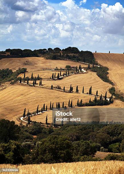 País Estrada Para Casa De Quinta - Fotografias de stock e mais imagens de Agricultura - Agricultura, Ao Ar Livre, Azul