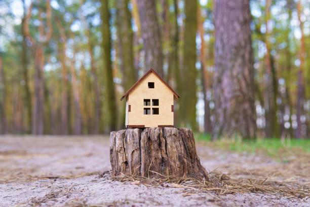 istock Wooden house model placed on a tree stump 1423305824