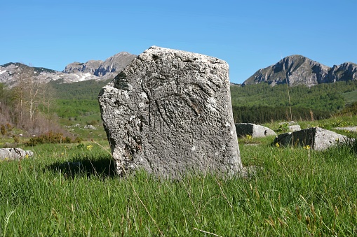 Gvozno, Kalinovik, Bosnia and Herzegovina – May 2022: medieval tombstone / Stecak on necropolis Gvozno Polje. Inscripted as UNESCO world heritage site. Mt. Treskavica in the background.