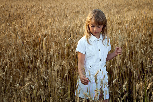 istock Girl in wheat field 142330635