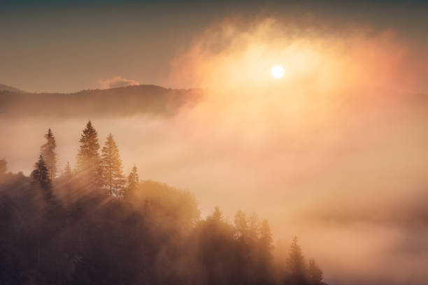 istock Attractive view of valley covered with fog 1423306842
