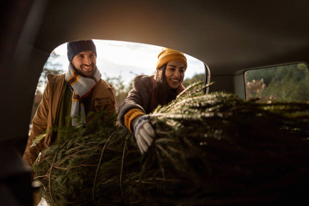 couple packing christmas tree into car trunk - christmas winter sunset snow imagens e fotografias de stock