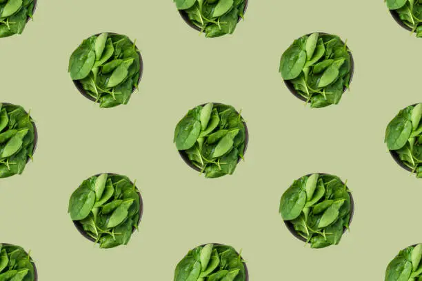 Seamless food pattern from bowls of fresh green spinach. Healthy plant based diet vegan lifestyle concept. Weight loss fitness