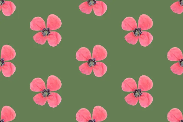 Seamless floral pattern with small delicate pink poppy flowers on vintage green background. Summer spring concept. Template for natural cosmetics skin body care