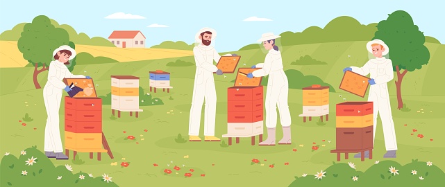 Apiary workers. Garden beekeeping, beekeeper care bee honey production, people working keepe honeybee farm pollen beeswax countryside nature landscape, vector illustration. Beekeeping honey and apiary