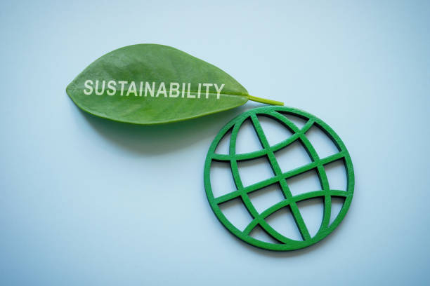 A Globe and green leaf with word sustainability.