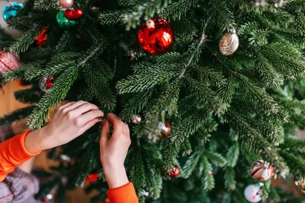 Photo of female hands decorating christmas tree with golden retro christmas ball