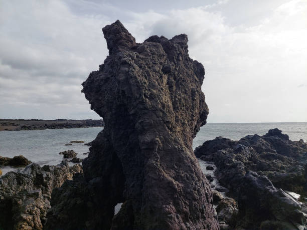 istock Volcanic sand beaches, Lanzarote 1423317062