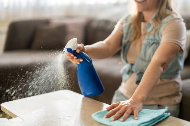 istock Unrecognizable woman cleaning home 1423318862