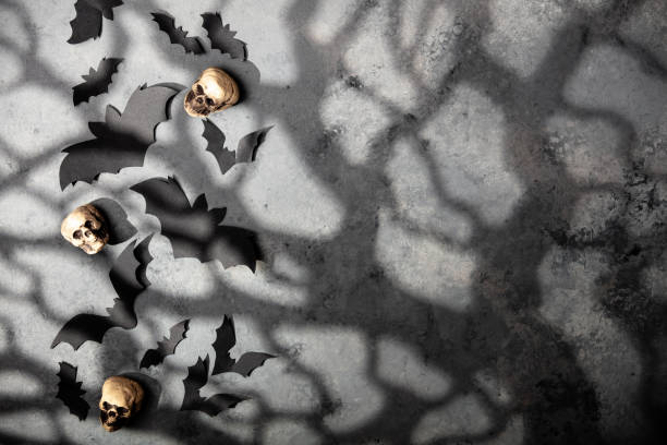 halloween deko konzept - schwarze papierfledermäuse, schädel, mondlicht und gruselige bäume schatten hintergrund - geist grafiken stock-fotos und bilder