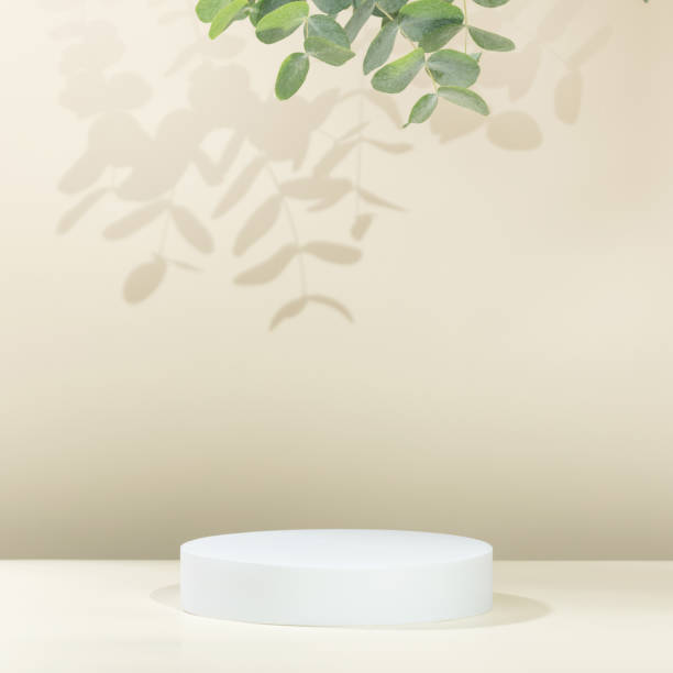 istock Abstract empty white podium with eucalyptus leaves on beige background 1423324160