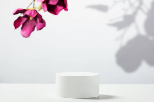 Abstract empty white podium and magnolia flowers on white background. Mock up stand for product presentation. 3D Render. Minimal concept. stock photo