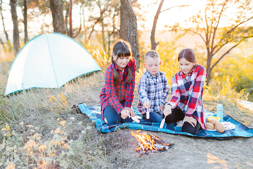 A cheerful company of two girls and a boy on a picnic in the middle of the forest. Children fry sausages on the fire, eat buns and have fun in nature