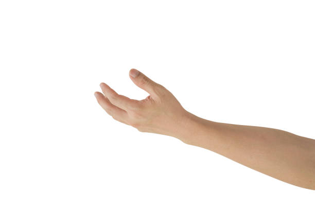 istock Young man hand isolated on white background included clipping path. 1423327141