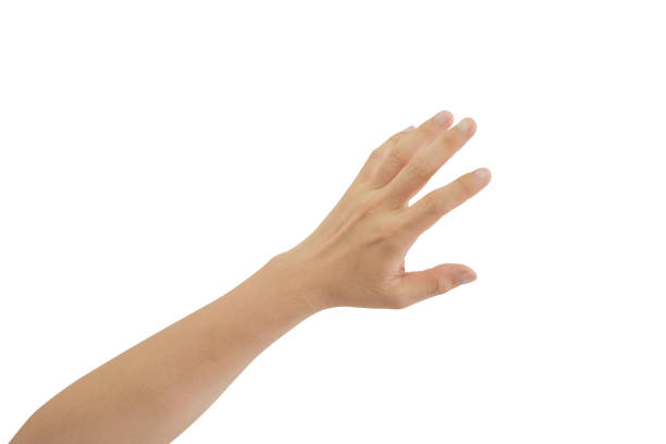 istock Young man hand isolated on white background included clipping path. 1423327711