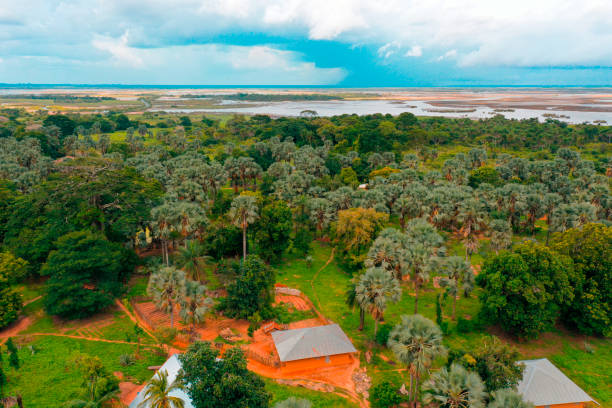 istock The greenery of Casamance SENEGAL 1423330186