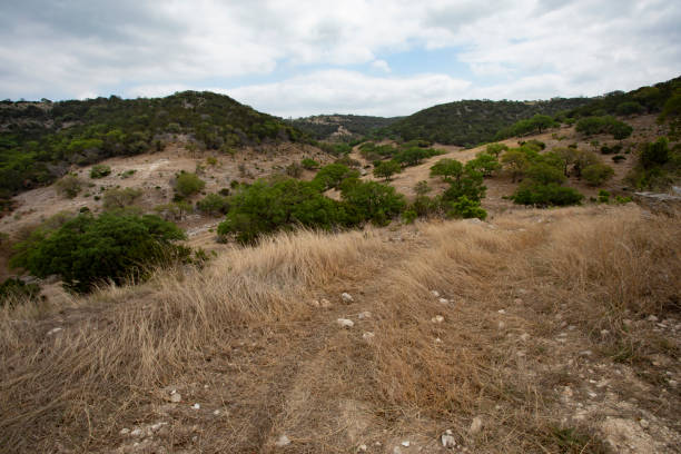 istock Off roading trail in remote Texas Hill Country 1423335137