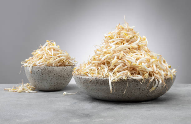 istock Soybean sprouts in a bowls on a gray background. 1423341734