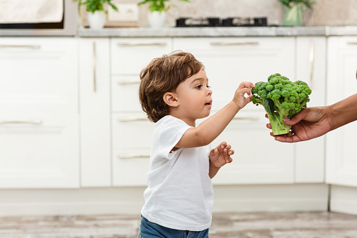 The Black one year child eats broccoli with an appetite. Organic Cabbage and food. Green healthy vegetables rich in vitamins. Proper nutrition concept.