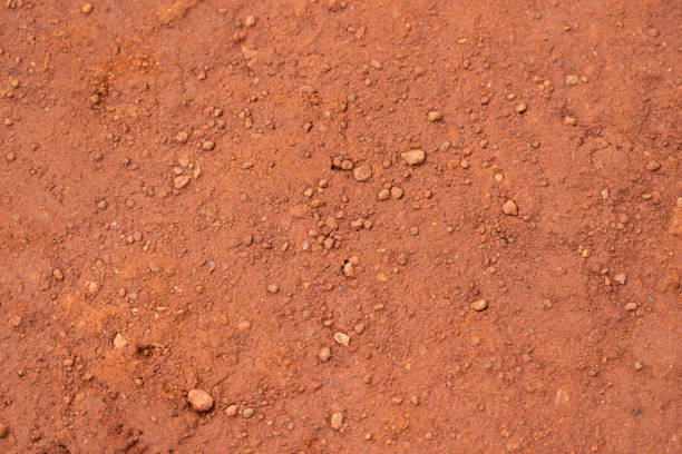 istock Dirt, terrain or gravel stone road surface ground. 1423344162
