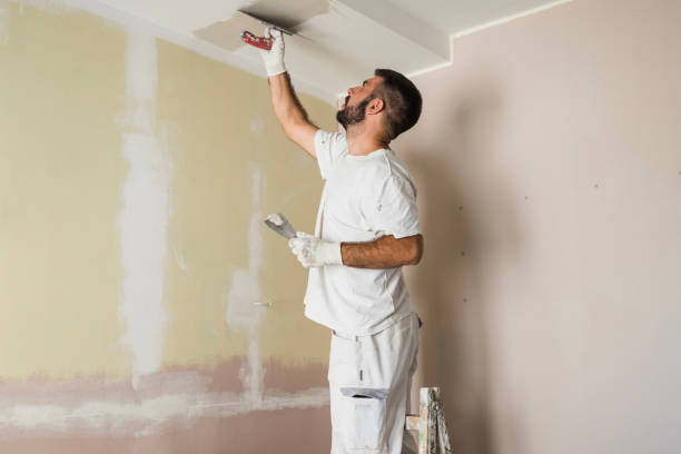 house painter painting ceiling - repairing apartment home improvement painting imagens e fotografias de stock