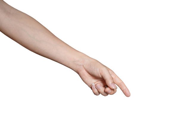 istock Man hand touching or pointing to something isolated on white background included clipping path. 1423348785