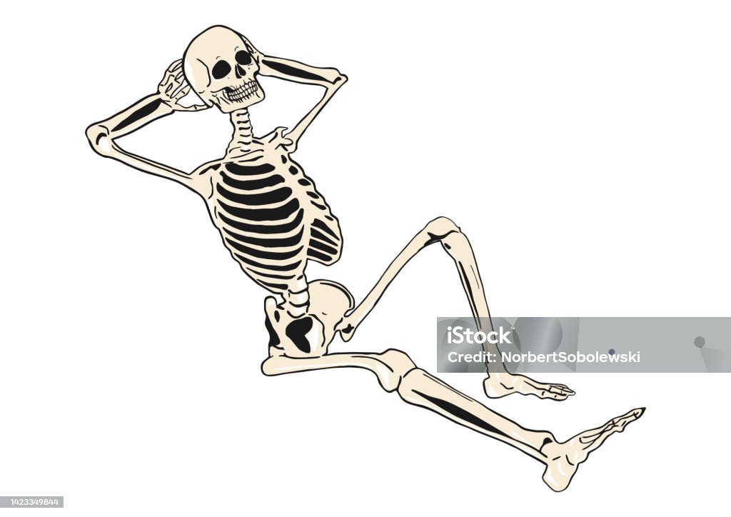 Skeleton Rested Resting Skeleton Stock Illustration - Download Image Now - Human ...