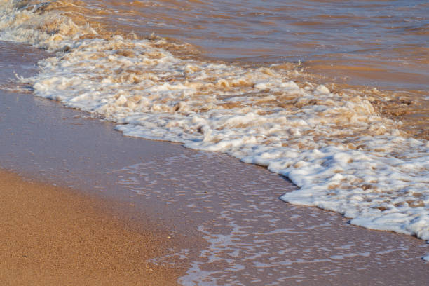 волны с пеной в солнечный летний день на песчаном пляже. природный фон. пляжная сцена с морскими волнами и песком - sandy brown bay beach sand стоковые фото и изображения