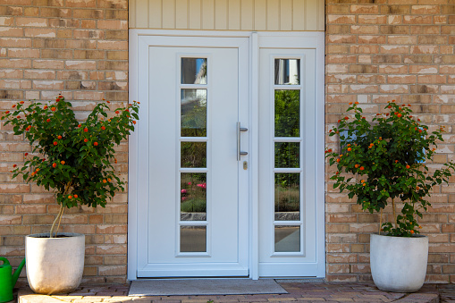 Modern blue painted front door flanked by shrubs