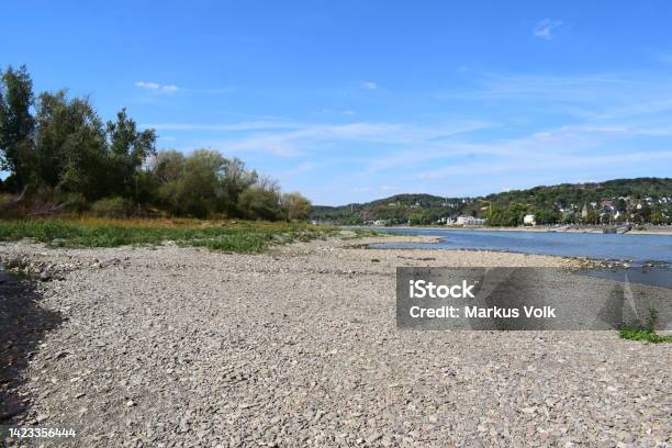 Rhine Beach In Drought Stock Photo - Download Image Now - Rhine River, Arid Climate, Dry